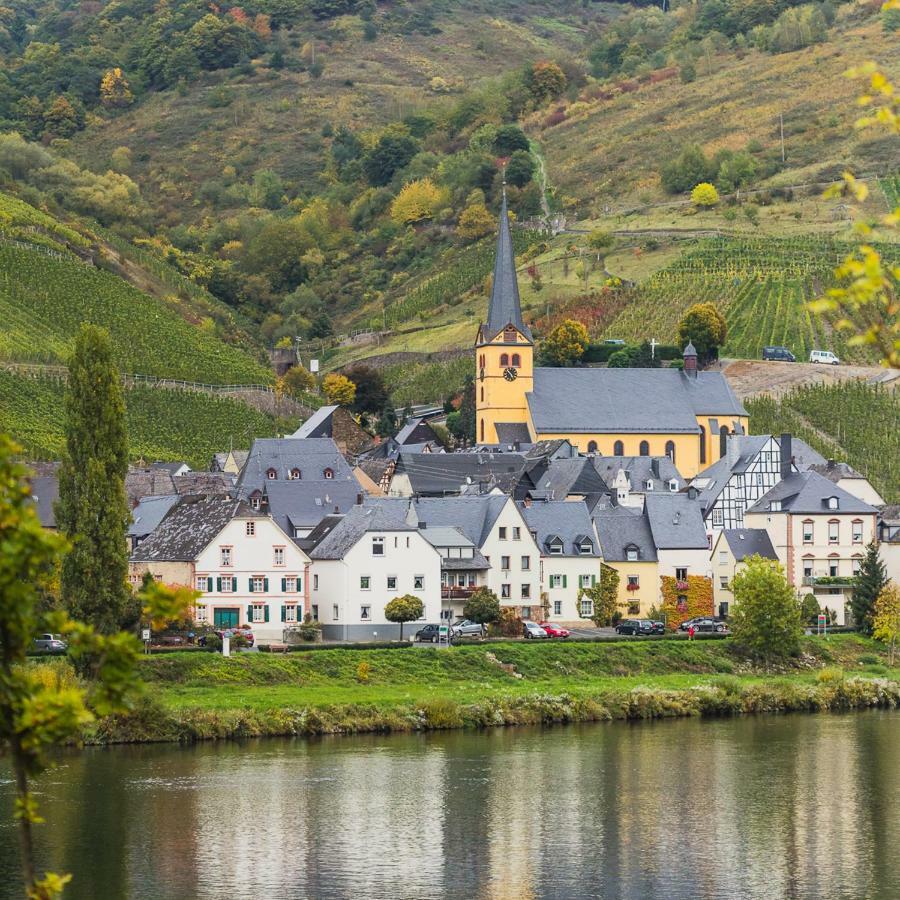 Ferienwohnung Haus Steffen Zeltingen-Rachtig Kültér fotó